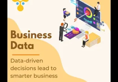 Business Data